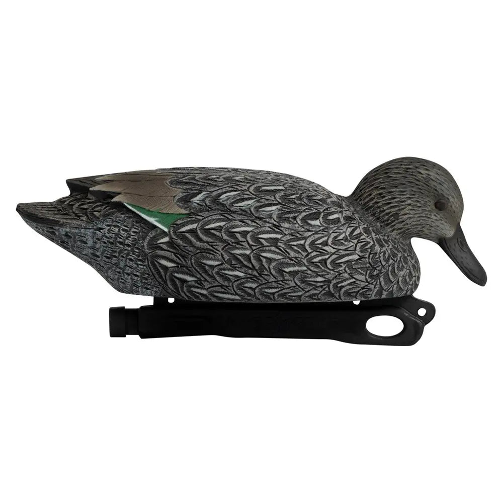 Rugged Series Blue-Winged Teal