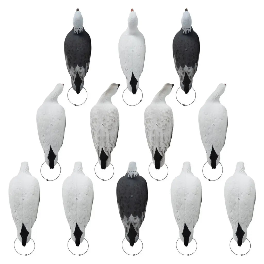 Rugged Series Full Body Snow and Blue Goose Touchdown Decoys 12-Pack