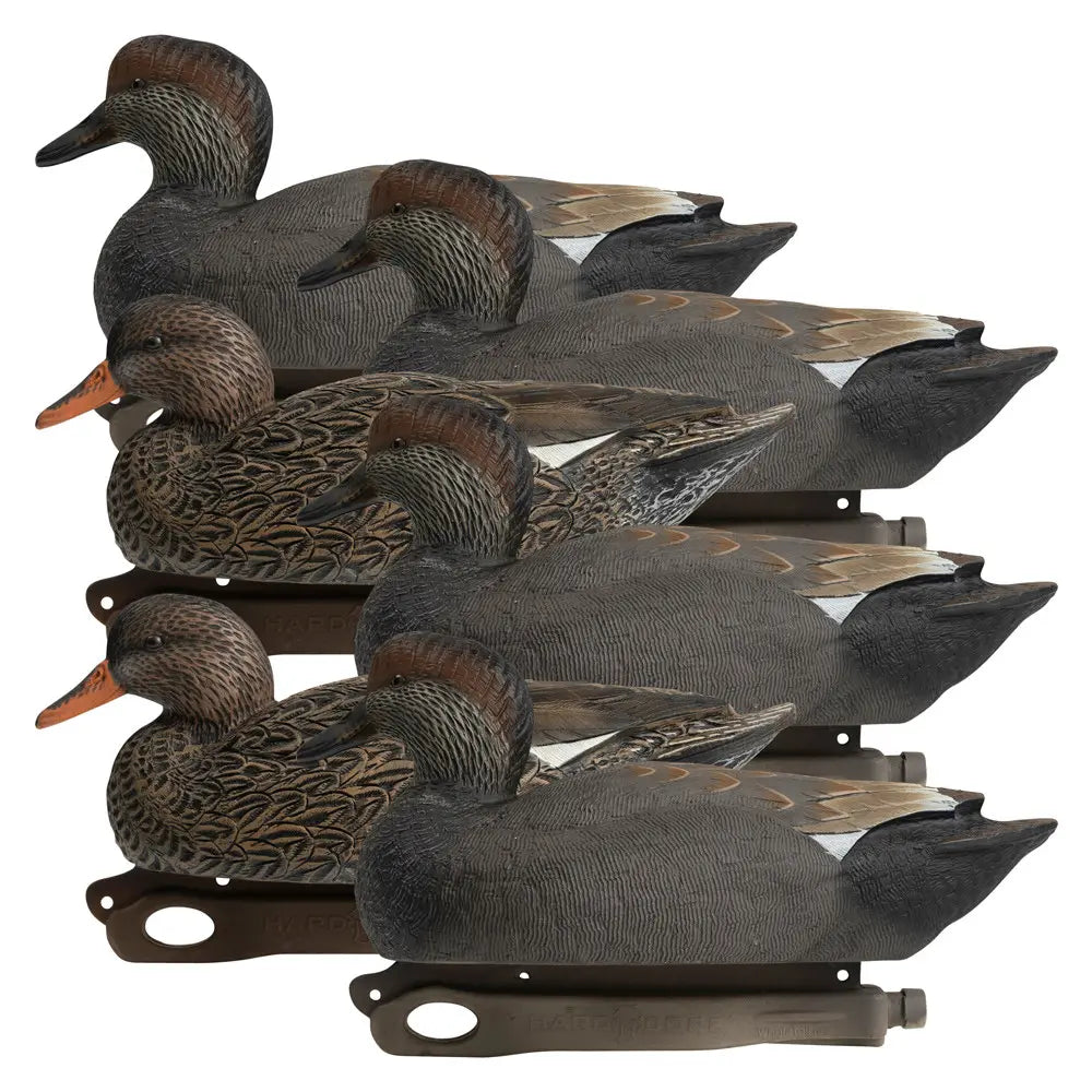 Rugged Series Gadwall