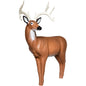 QuivAR Enabled Big Buck