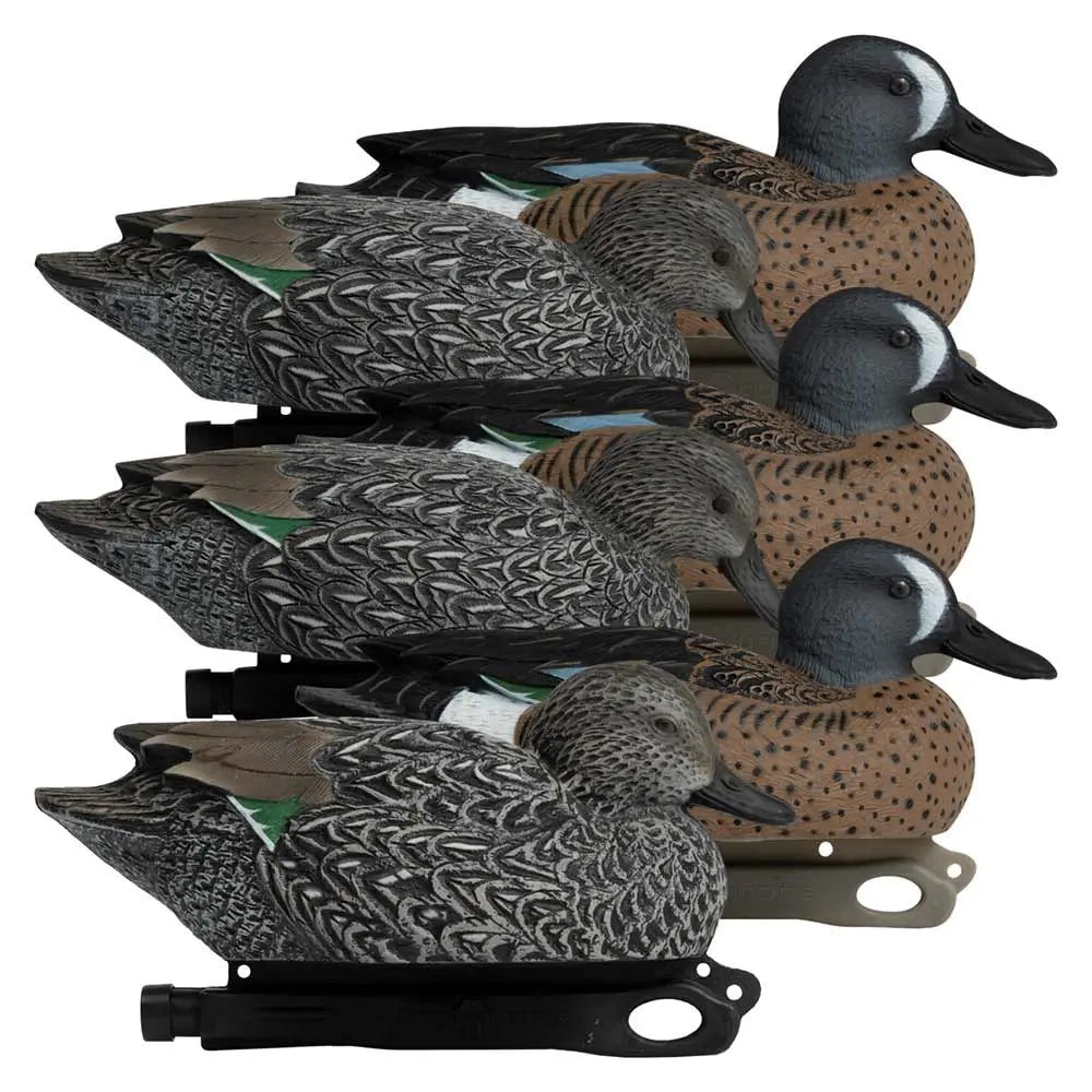 Rugged Series Blue-Winged Teal