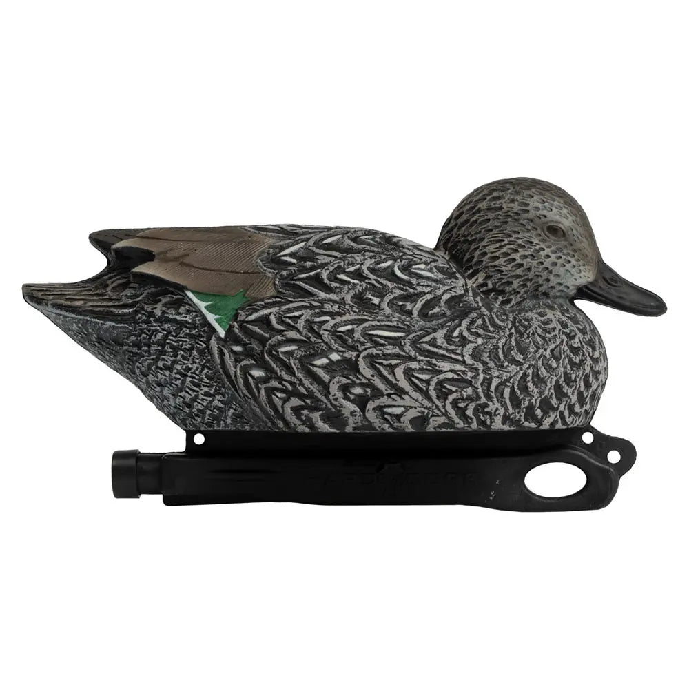 Rugged Series Blue-Winged Teal