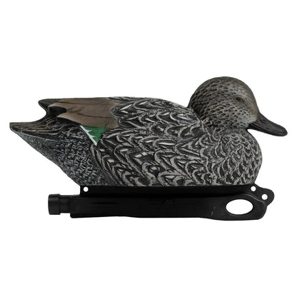 Rugged Series Blue-Winged Teal