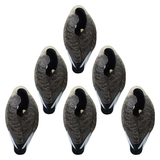 Rugged Series Canada Sleeper Shell Decoys – Flocked Head 6 Pack