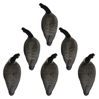 Rugged Series Full Body Canada Goose Feeder Decoys – Flocked Head