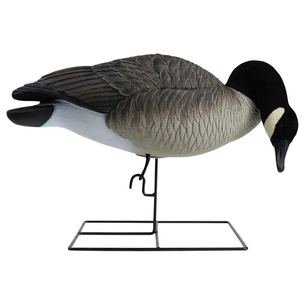 Rugged Series Full Body Canada Goose Feeder Decoys – Flocked Head