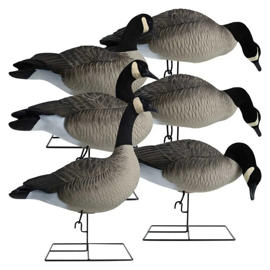 Rugged Series Full Body Canada Goose Touchdown Decoys – Flocked Head