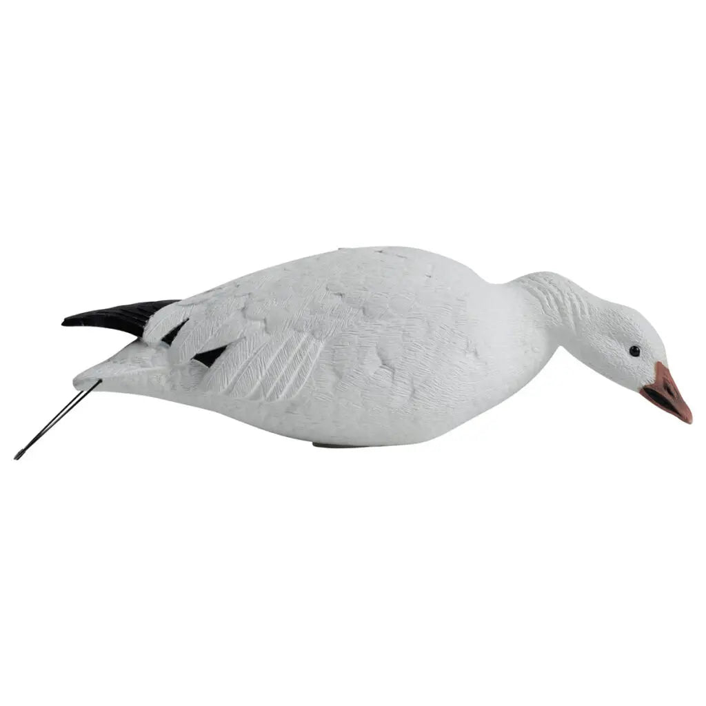 Rugged Series Full Body Snow and Blue Goose Touchdown Decoys 12-Pack