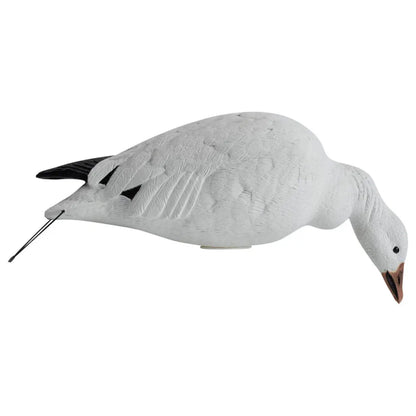 Rugged Series Full Body Snow and Blue Goose Touchdown Decoys 12-Pack