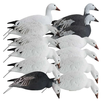 Rugged Series Full Body Snow and Blue Goose Touchdown Decoys 12-Pack