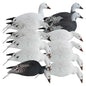 Rugged Series Full Body Snow and Blue Goose Touchdown Decoys 12-Pack