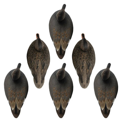Rugged Series Gadwall