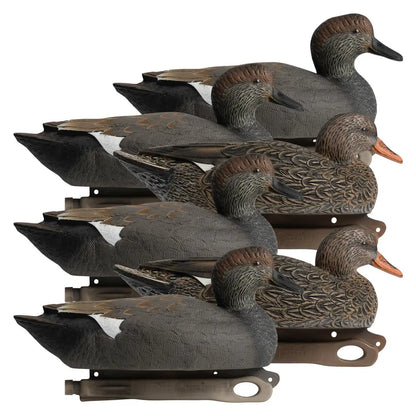 Rugged Series Gadwall