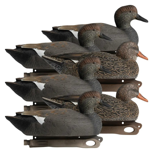 Rugged Series Gadwall