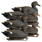 Rugged Series Gadwall