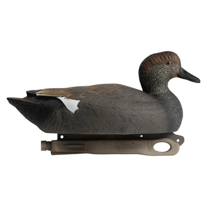 Rugged Series Gadwall