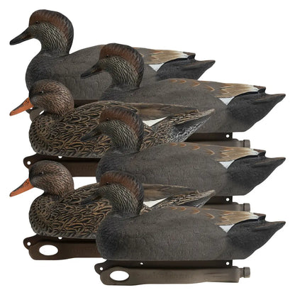 Rugged Series Gadwall