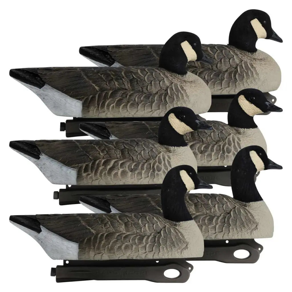 Rugged Series Lesser Canada Floaters – Flocked Head