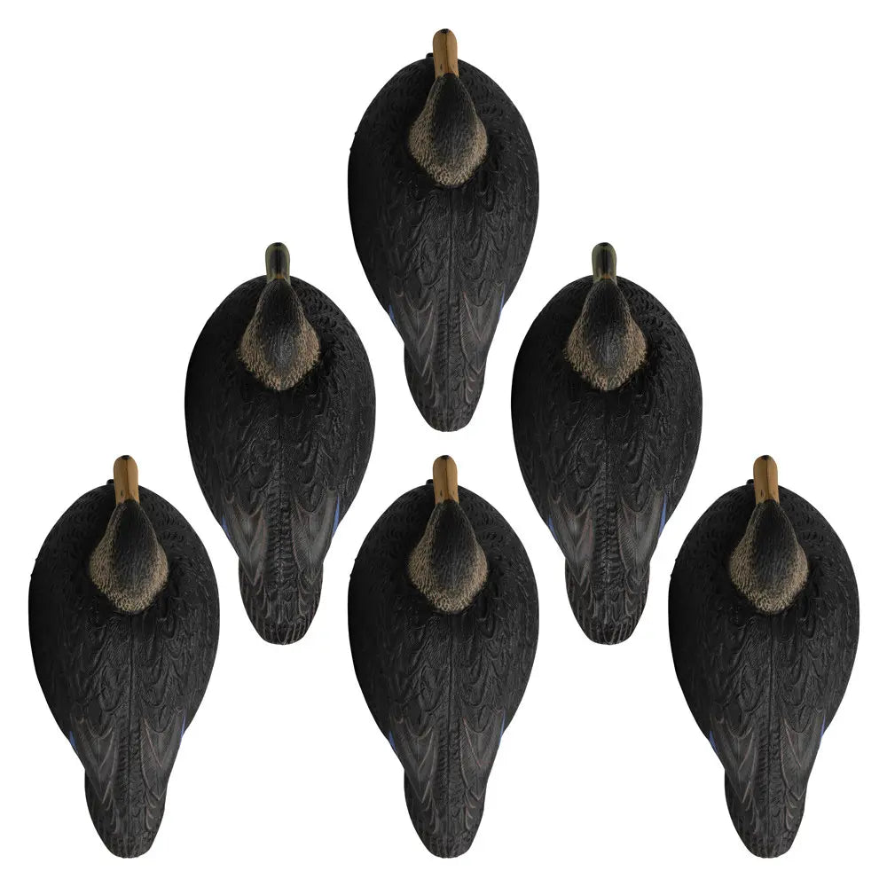 Rugged Series Magnum Black Duck Decoys